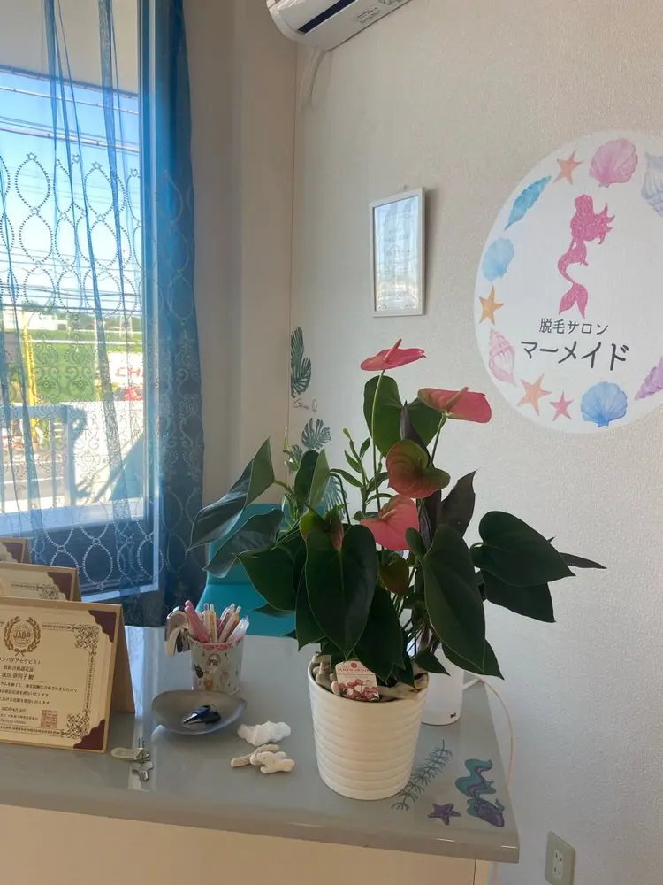脱毛サロンマーメイドの内観・外観2