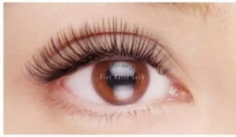 Lea Leaの内観・外観3