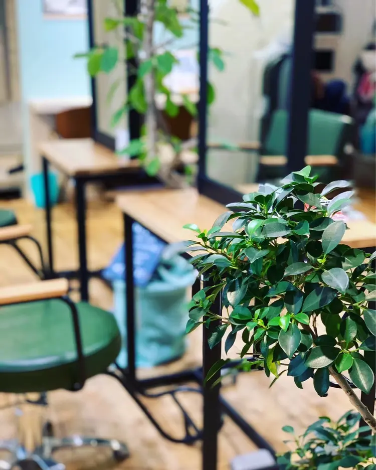 La La zipanguの内観・外観3