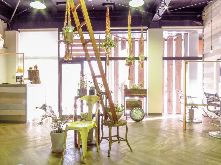 SHU HA RI（シュハリ）の内観・外観2