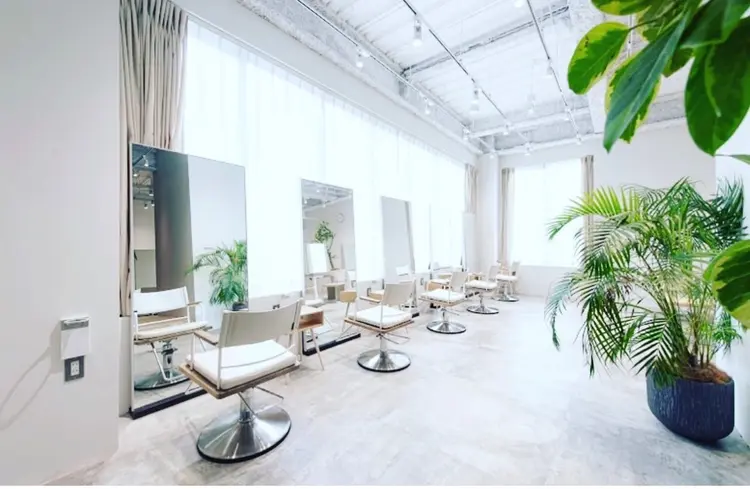 noiの内観・外観2