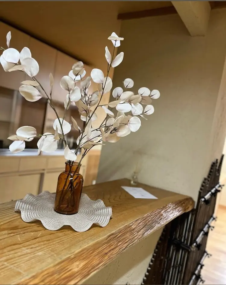 angel plusの内観・外観1