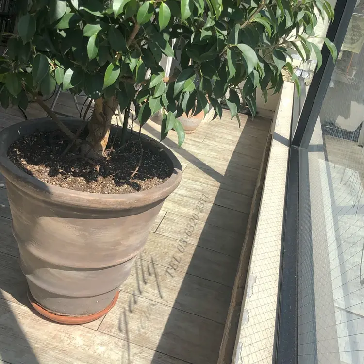 gallyの内観・外観1