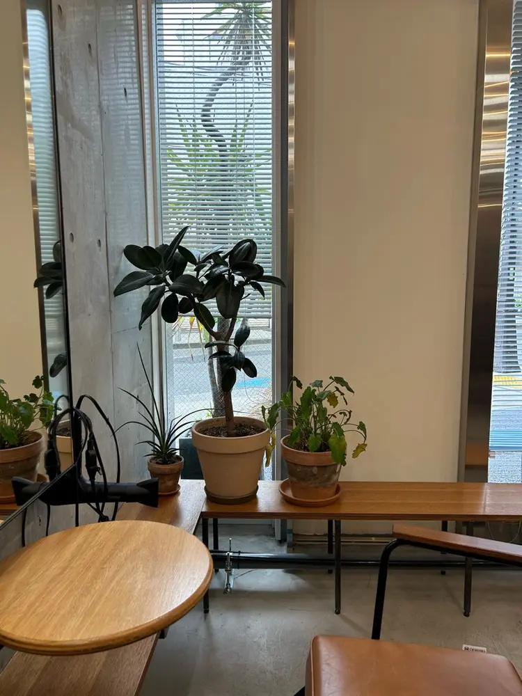 Stoopの内観・外観2