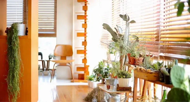 organic  mindの内観・外観1