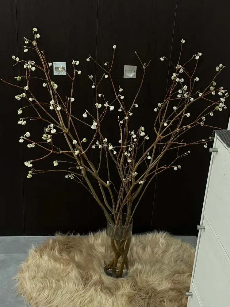 NEM.nailstudioの内観・外観1