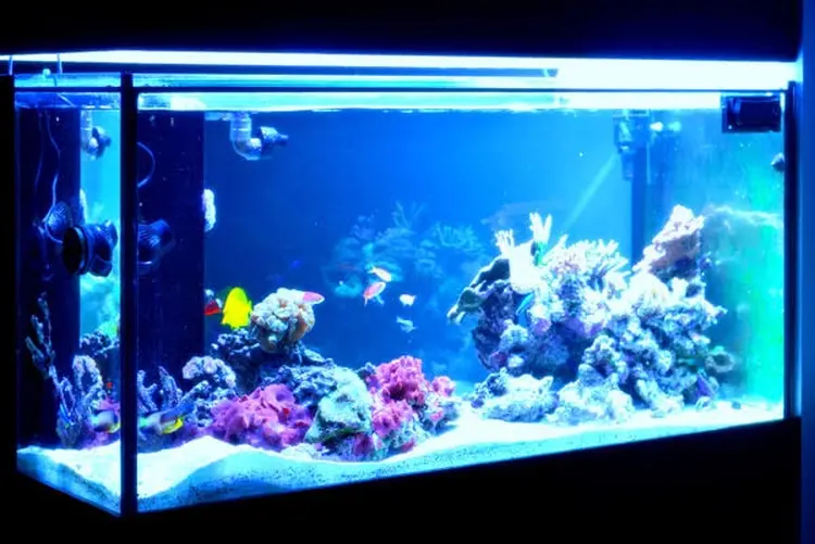 ARSPACEの内観・外観3