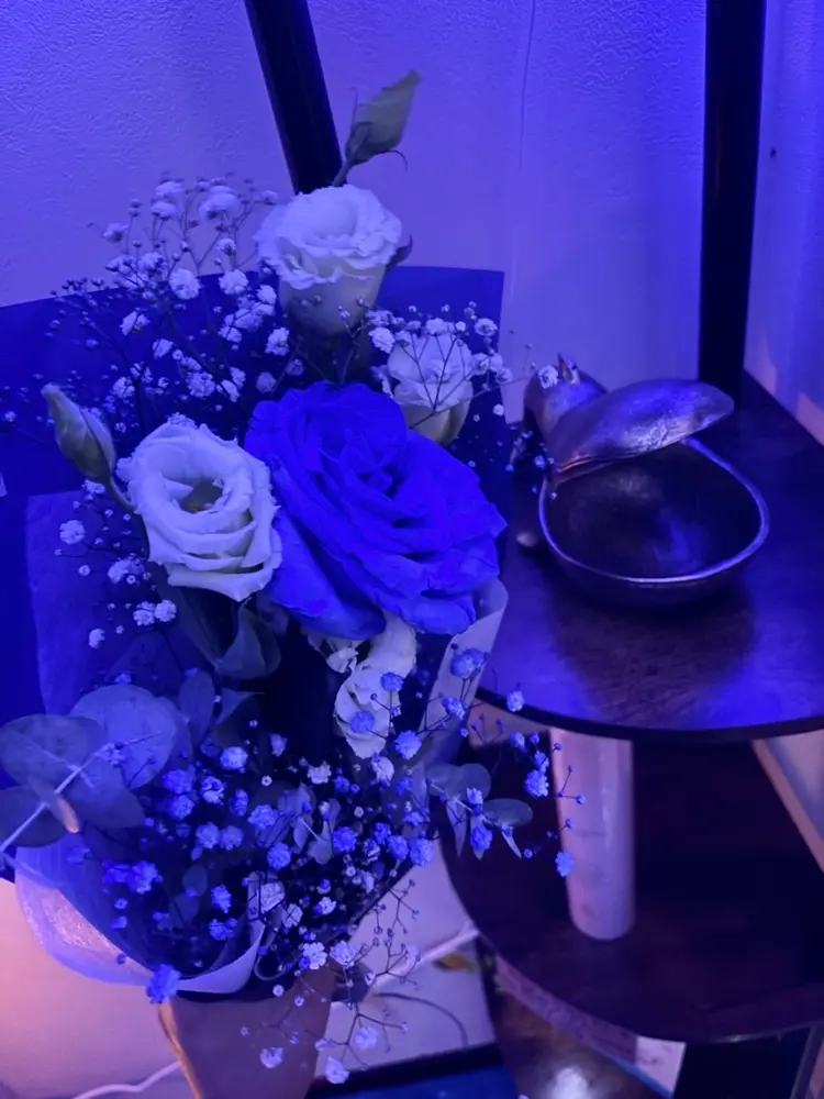 【鯨の眠る家】の内観・外観2