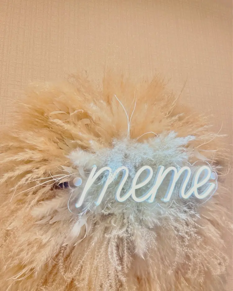 The TENの内観・外観1