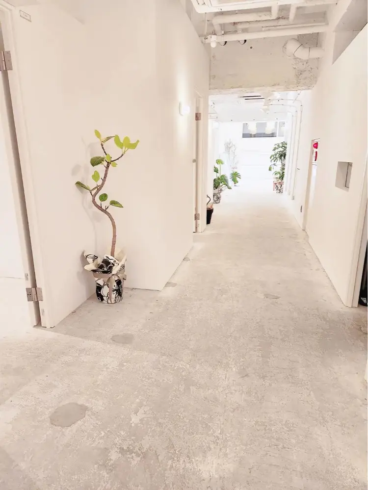 Koa eyelashの内観・外観1