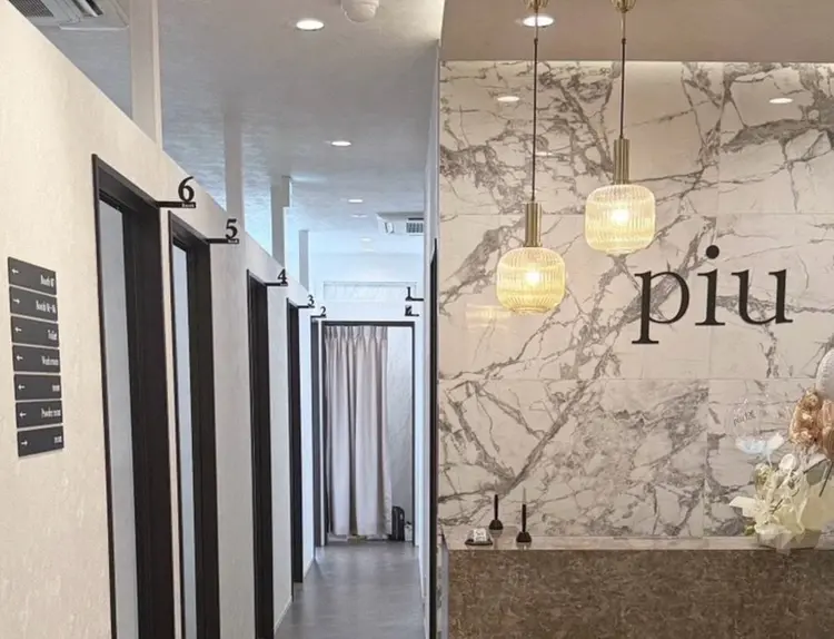 piuの内観・外観1