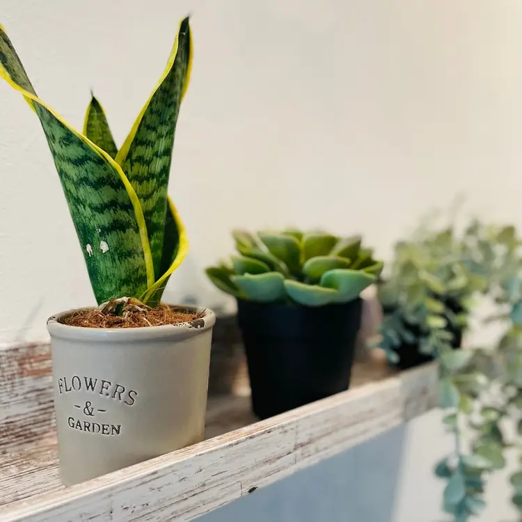 リラクゼーションサロンWACOCOの内観・外観2