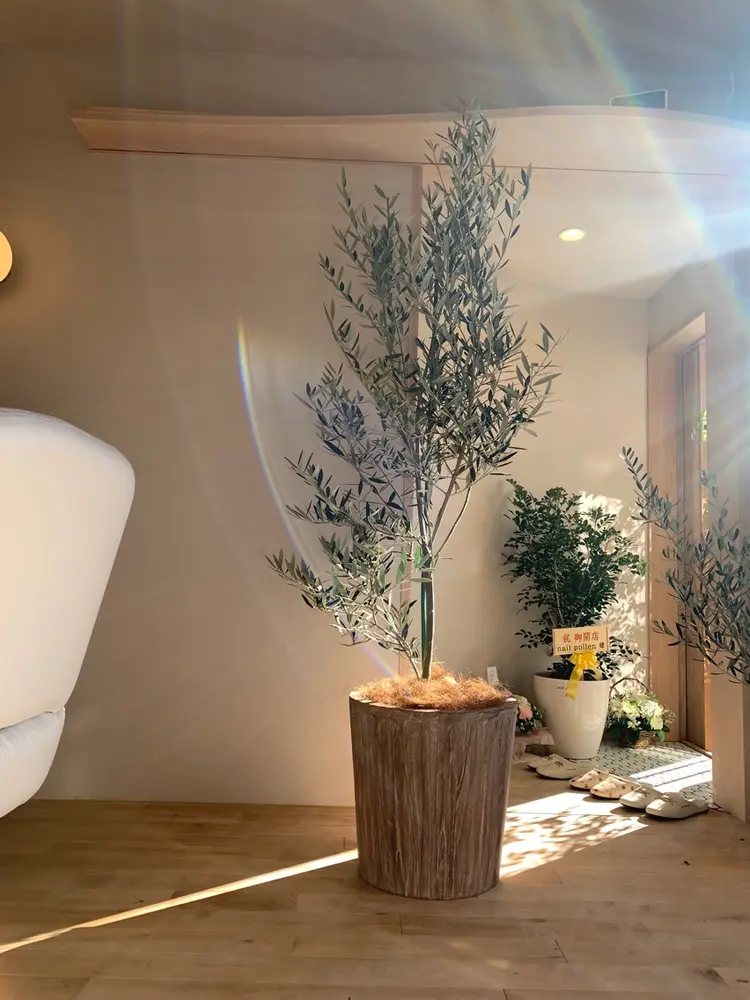 【パラジェル登録サロン】nail pollenの内観・外観3