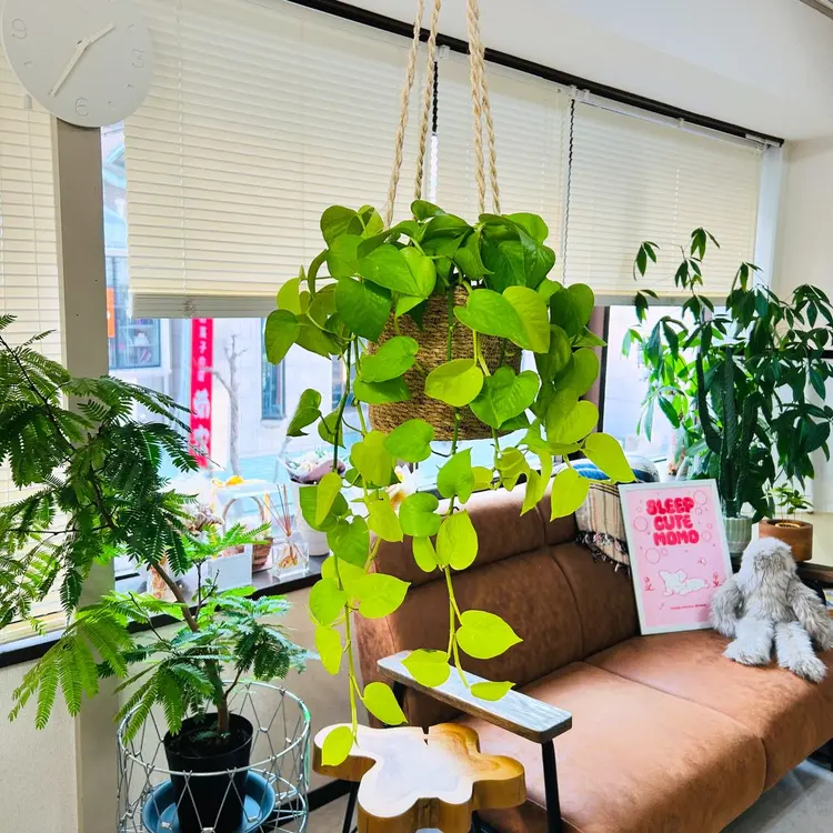 nail studio CULTIの内観・外観2