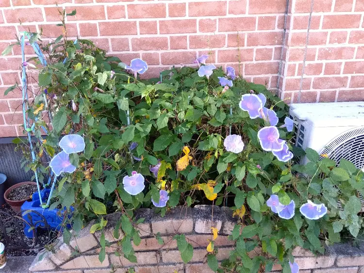 アロマルームサロン猫のひげの内観・外観2