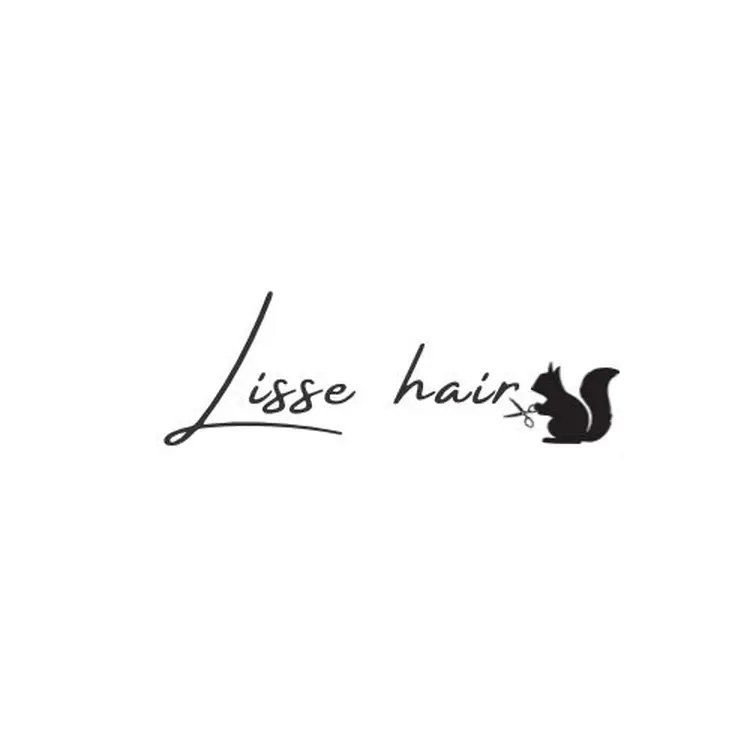 Lisse hairの内観・外観2