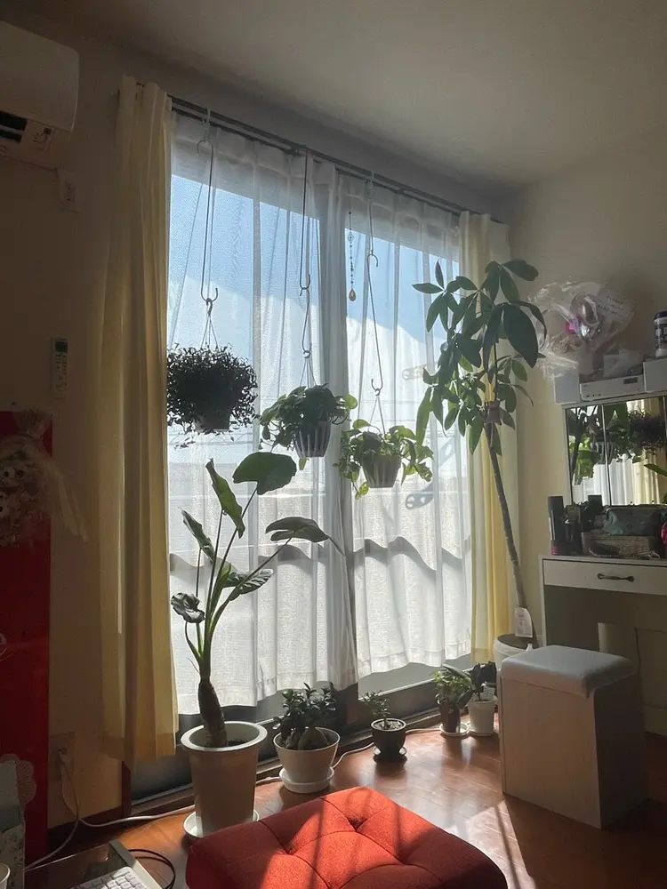 シェービング&リンパエステRicheの内観・外観1