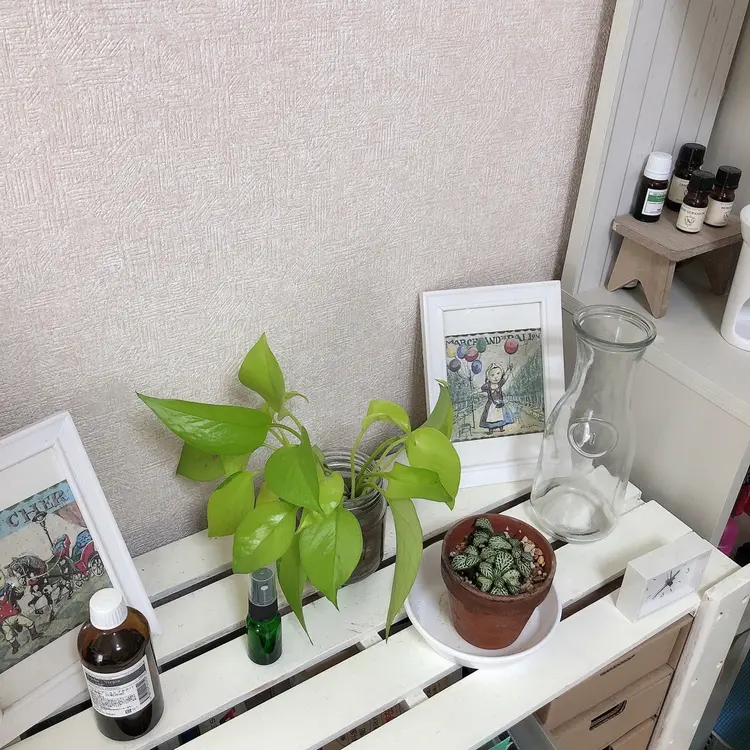 miminene  nailの内観・外観1