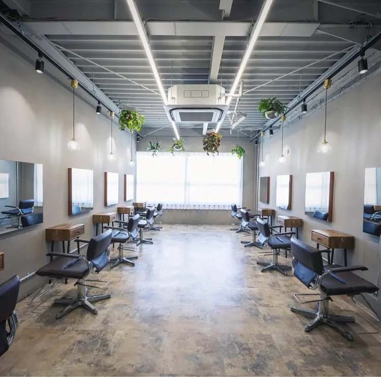 Elsa the leapの内観・外観1