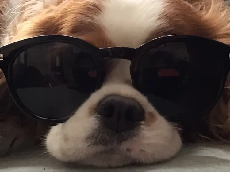 Nailsalon MONA.の内観・外観3