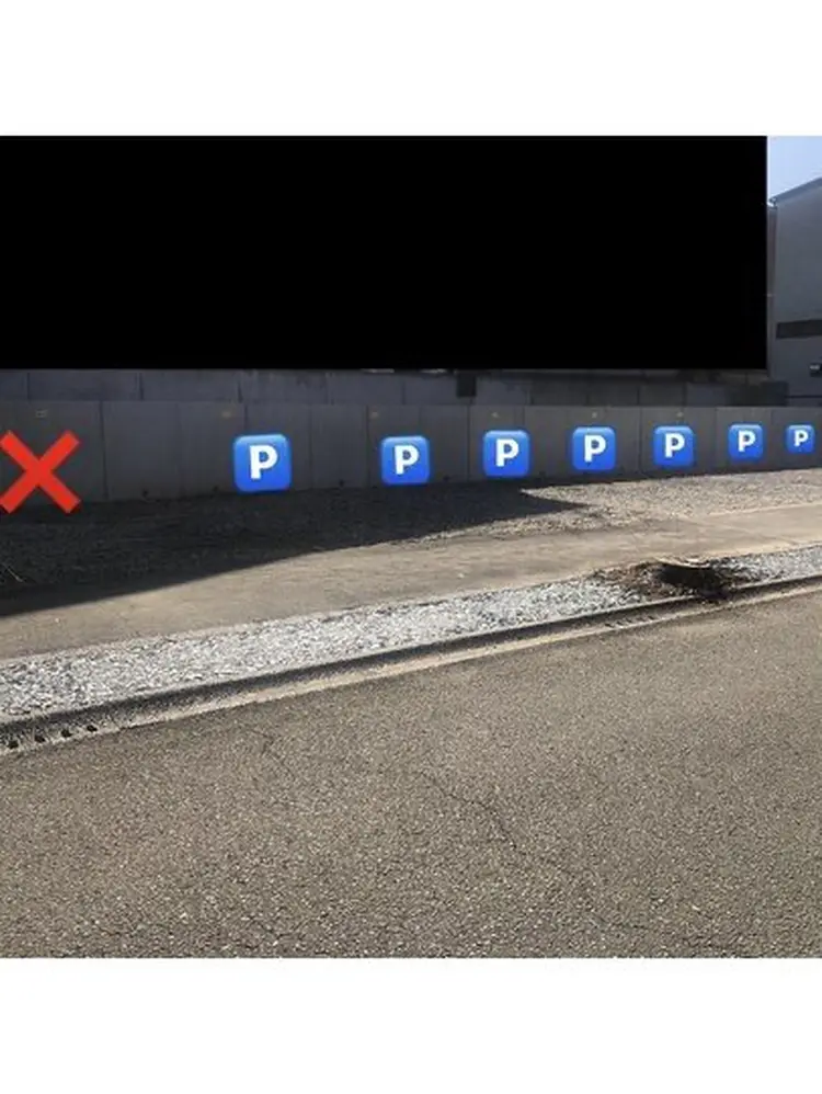 Dahlia ダリアの内観・外観3