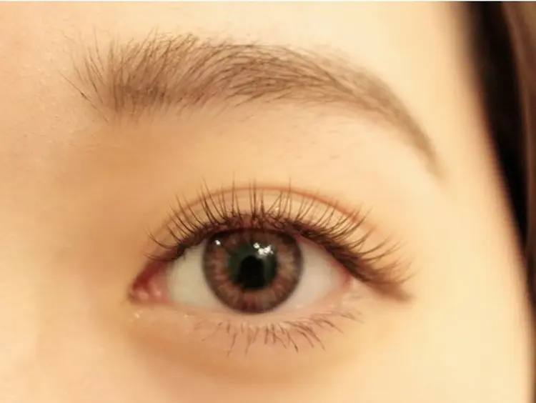 Shu Shuの内観・外観1