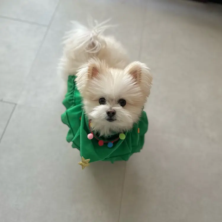 torom nailの内観・外観3