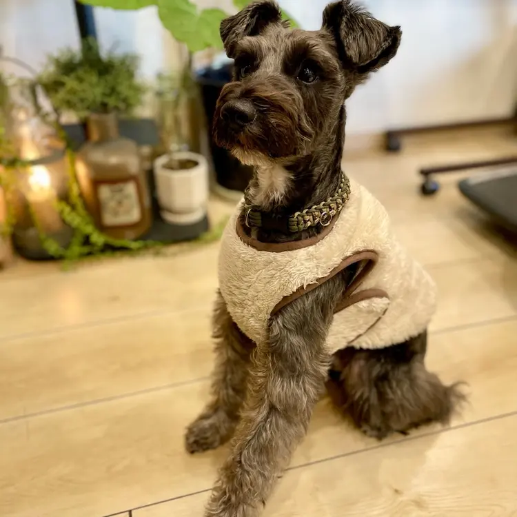 sheep tree(シープツリー)の内観・外観3