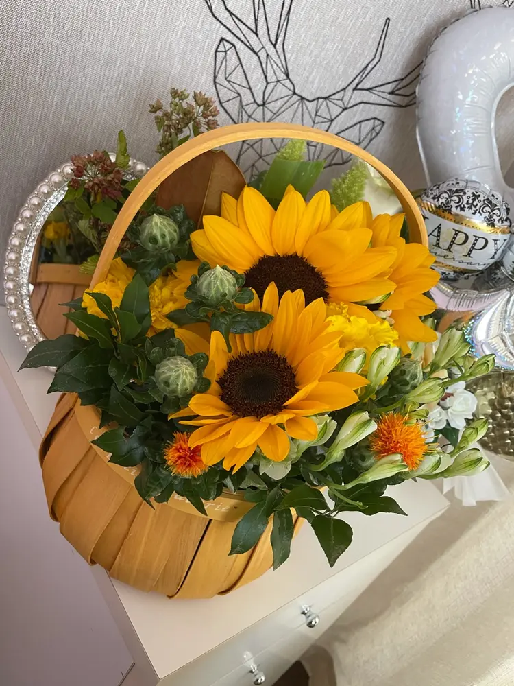 LILITIKの内観・外観1