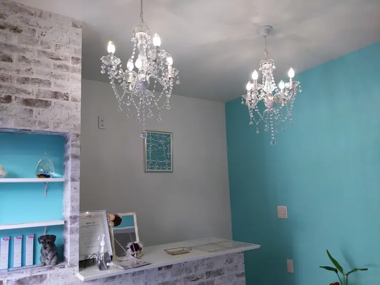 Beaute  Pureの内観・外観2