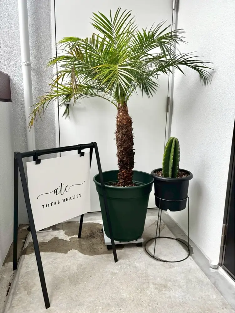 Ate total beauty 新都心店の内観・外観2