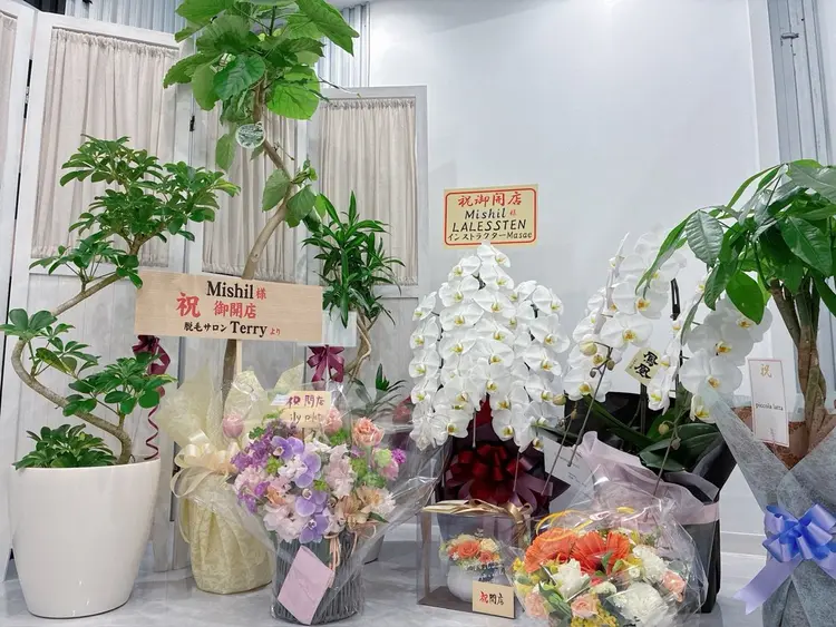 脱毛|韓国肌管理 Mishilの内観・外観2