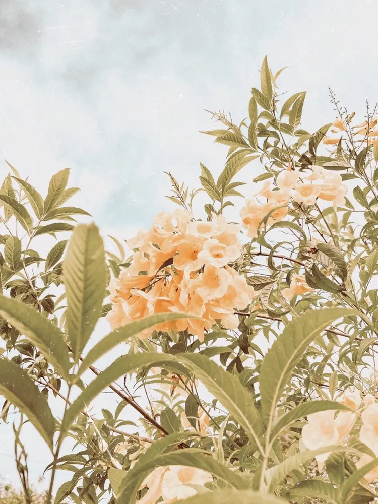 fully nakameguroの内観・外観2