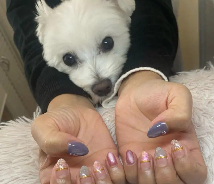 Chandraの内観・外観2