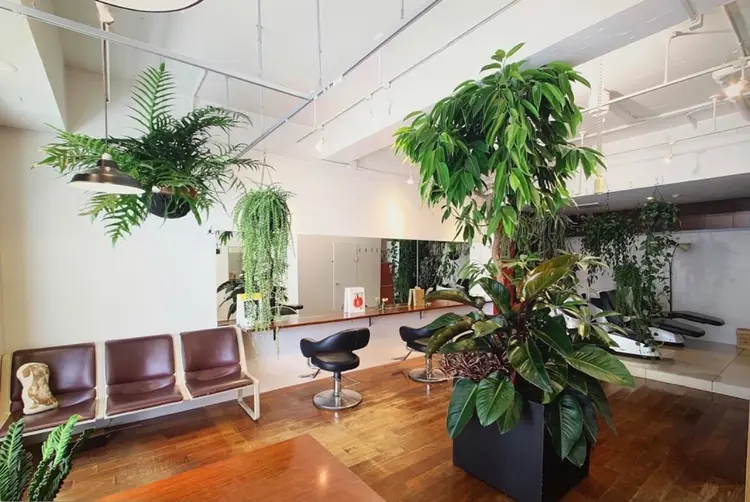 DOG MANIA PiNCHの内観・外観2