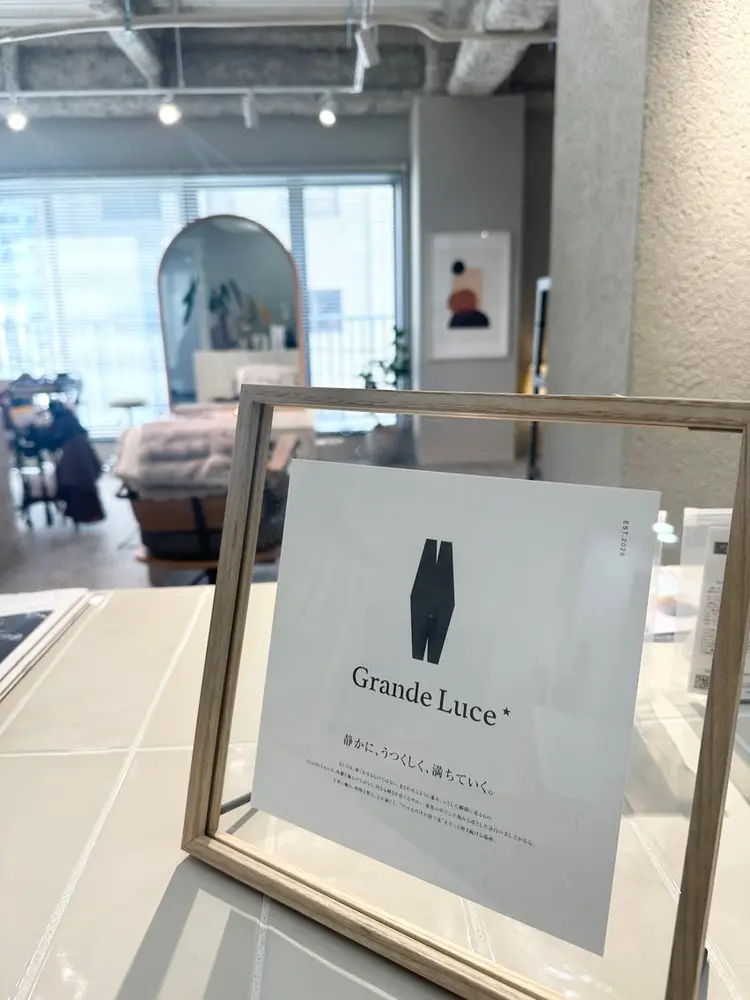 Grande Luceの内観・外観1