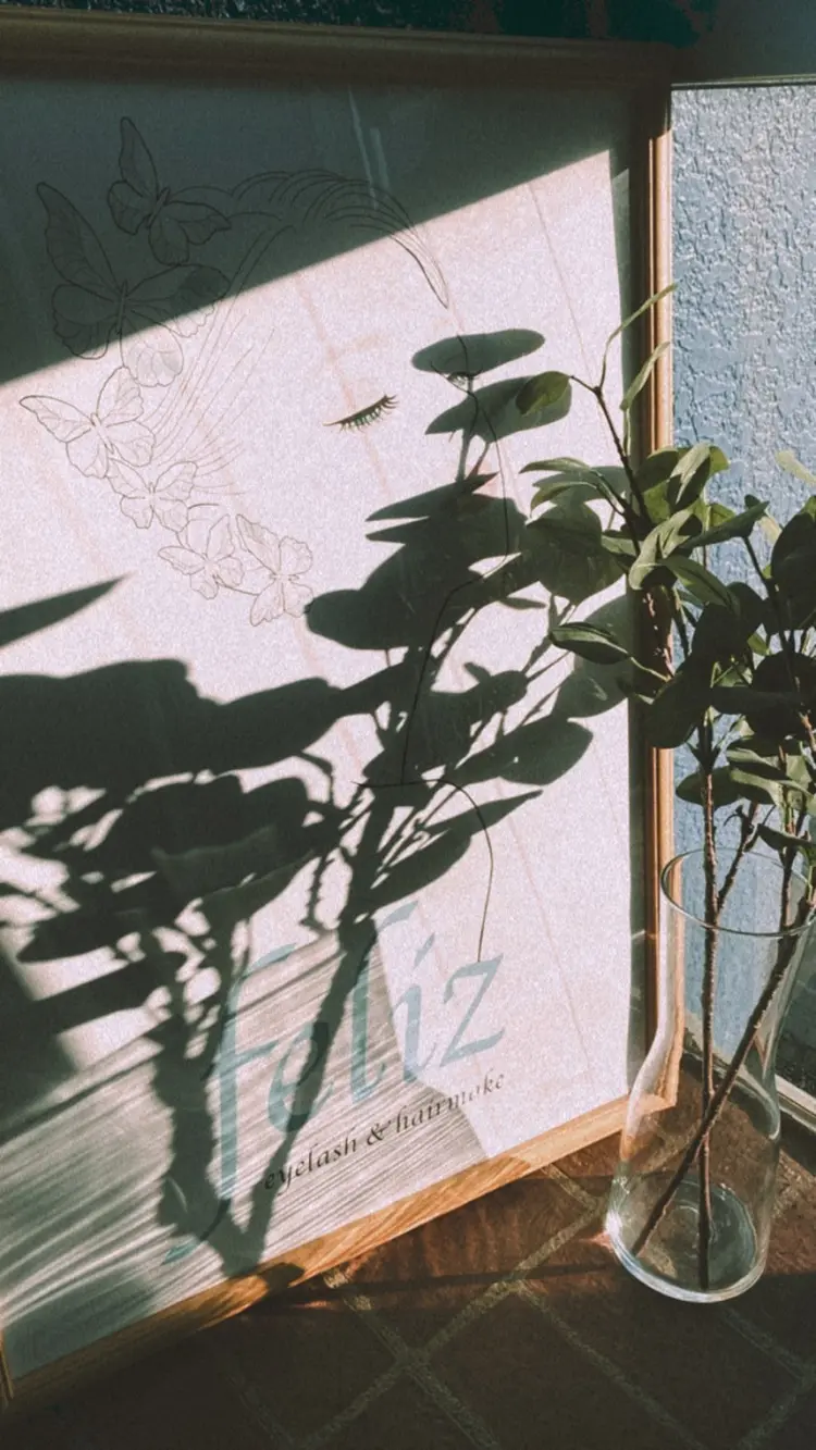 feliz【フェリース】の内観・外観1