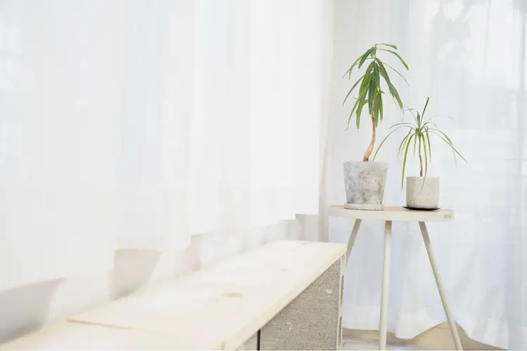 【メンズ眉毛サロン】アカヌケボーイズクラブ｜三軒茶屋の内観・外観3