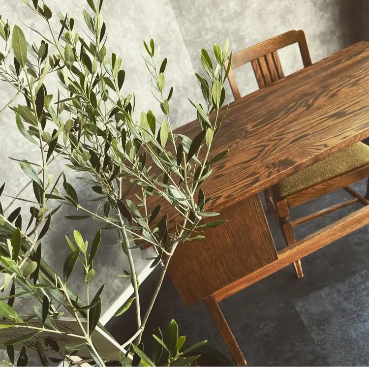 Ravirの内観・外観1