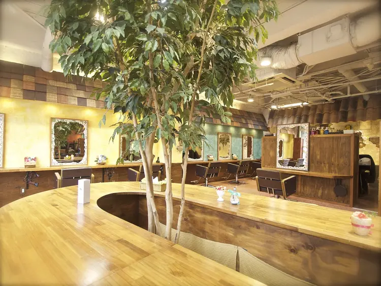 クレドガーデン柏店の内観・外観1