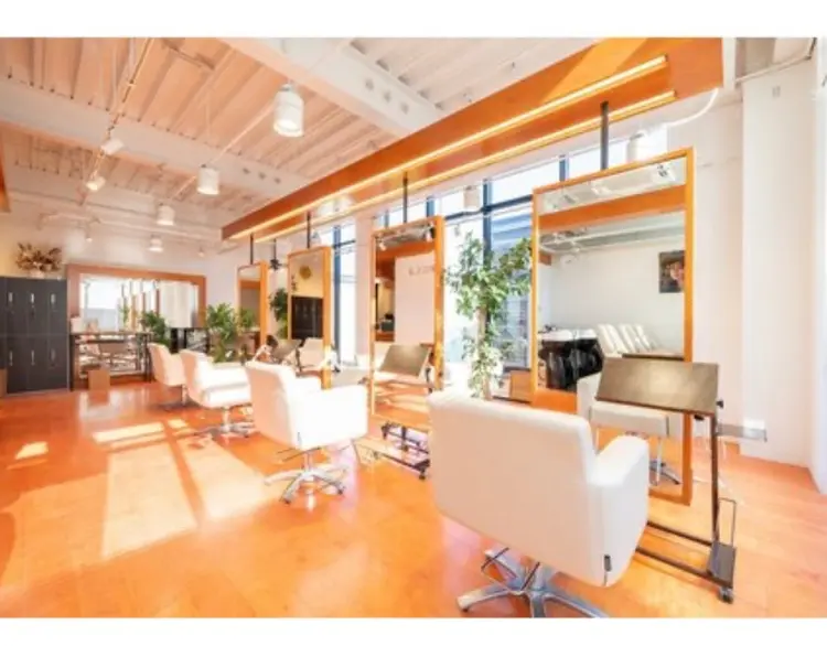 MINX RICCaの内観・外観3