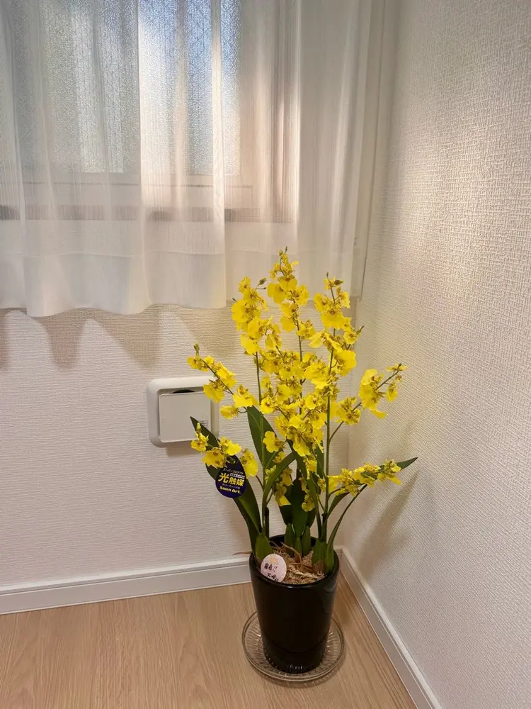 CHRISALONの内観・外観2