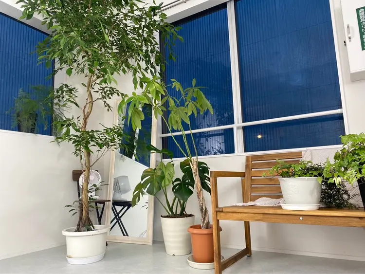 HARE _nailの内観・外観2