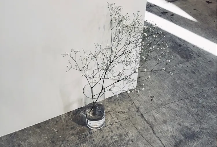 Nelle by greenの内観・外観2