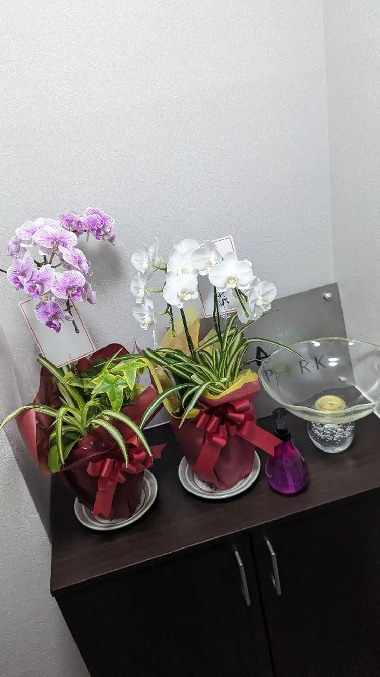 YOSAPARK Angeの内観・外観3