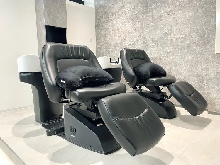 North  Lyraeの内観・外観1