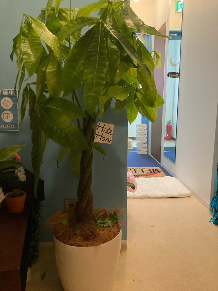 新宿リラクゼーションサロンSea the  Nightの内観・外観2