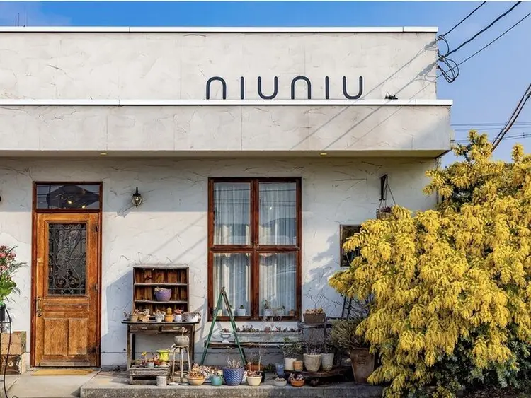 NIUNIUの内観・外観1