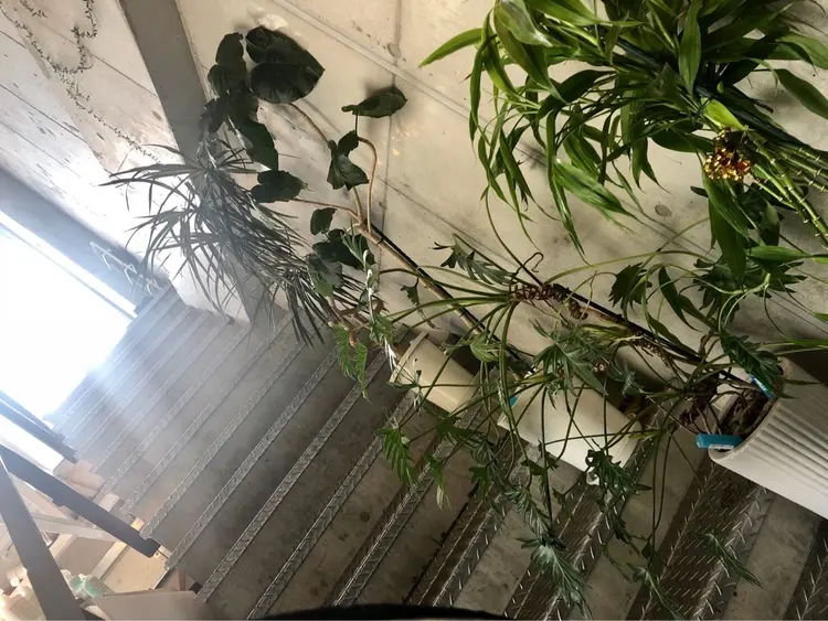 doorbell hair livingの内観・外観3