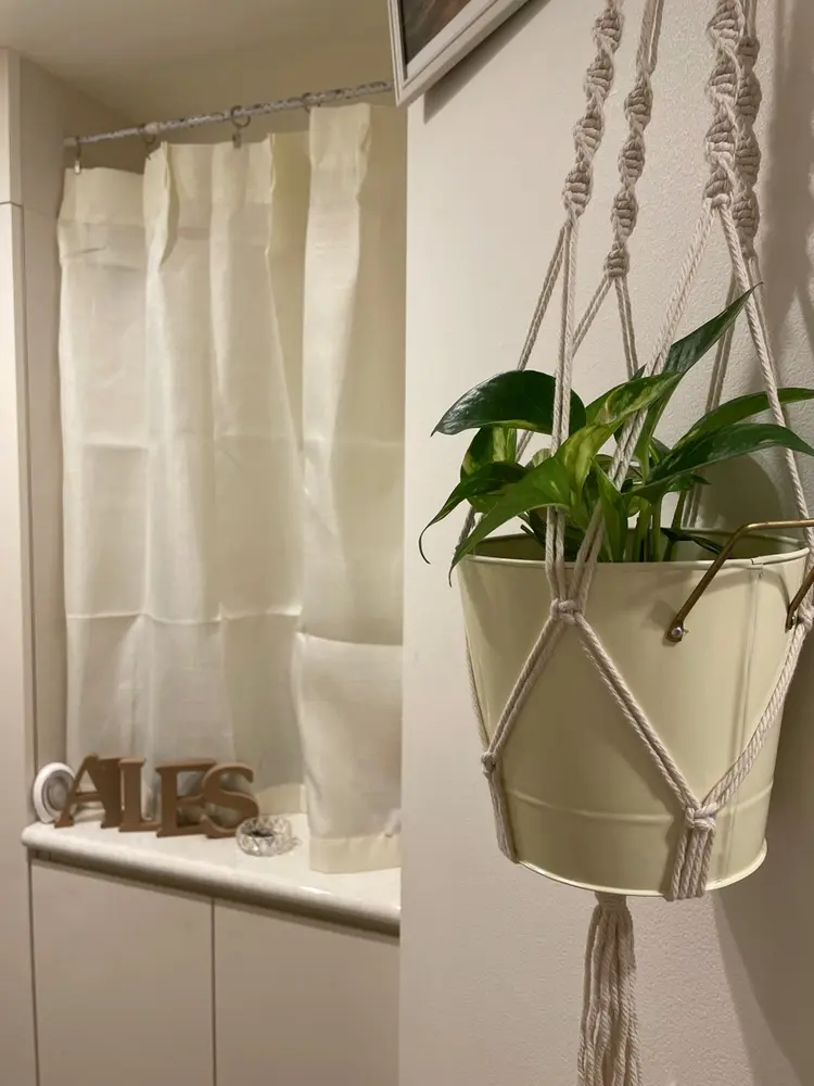 ailesの内観・外観1